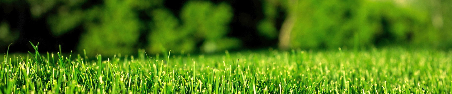 用綠色點(diǎn)綴世界，用生機(jī)感動(dòng)人心